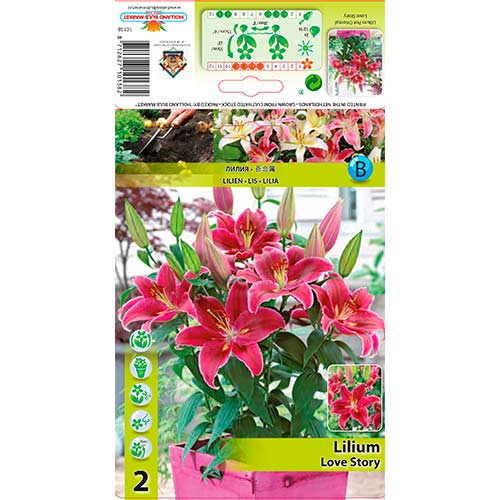 Ljiljan Love Story slika 1 interface.art 76313