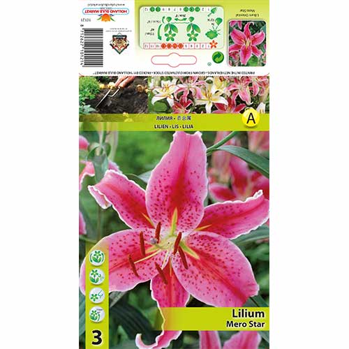 Ljiljan Mero Star slika 1 interface.art 76315