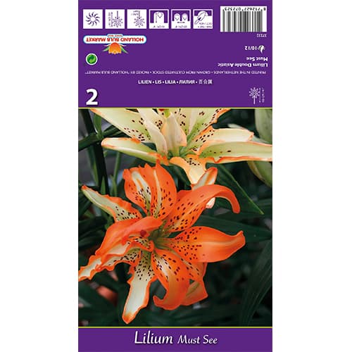 Ljiljan Must See slika 1 interface.art 77838