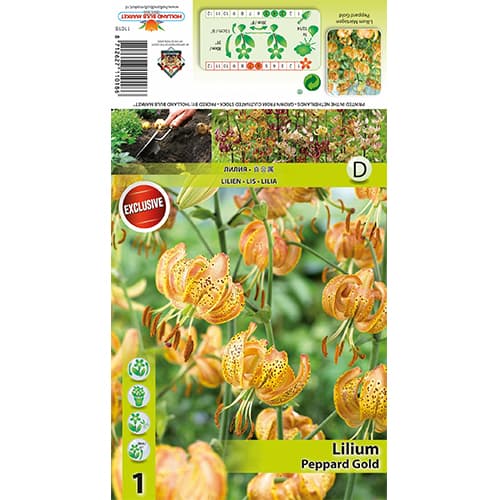 Ljiljan Peppart Gold slika 1 interface.art 77823