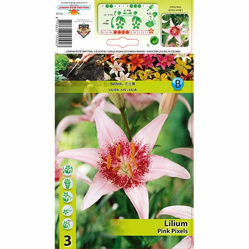 Ljiljan Pink Pixels slika 1 interface.art 70469