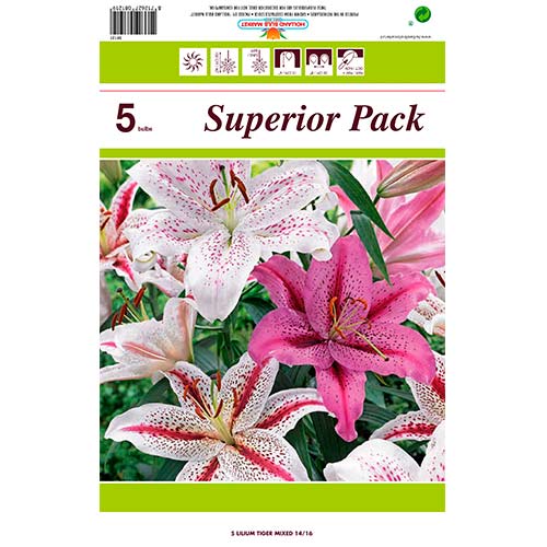 Ljiljan Tiger Mix slika 1 interface.art 76480