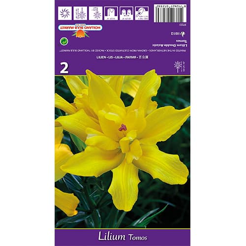 Ljiljan Tomos interface.art interface.photo 1 Ljiljan Tomos slika 1 interface.art 77839