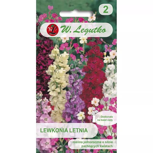 Ljubičina mix multicolor slika 1 interface.art 87863