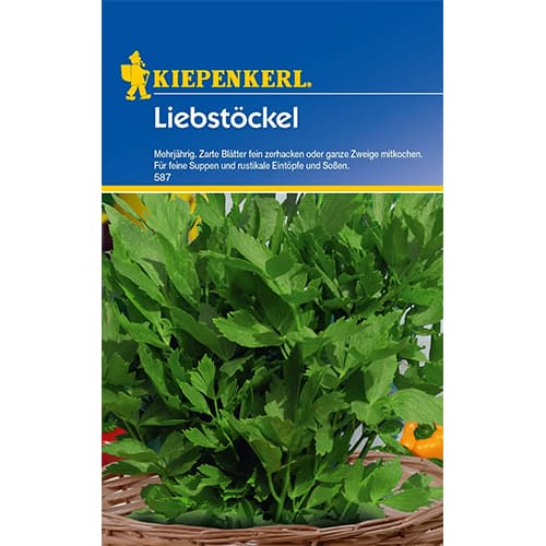 Ljupčac višegodišnji slika 1 interface.art 77473