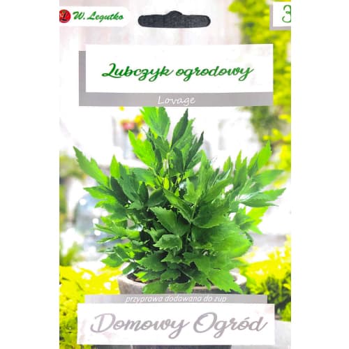 Ljupčac Legutko slika 1 interface.art 69644