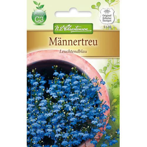 Lobelija Bright Blue interface.art interface.photo 1 Lobelija Bright Blue slika 1 interface.art 78918