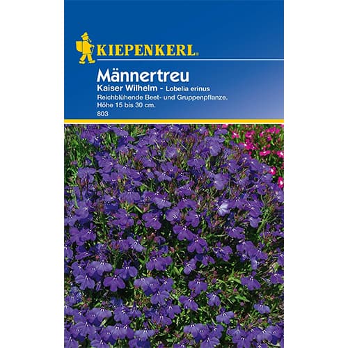 Lobelija Kaiser Wilhelm slika 1 interface.art 77421