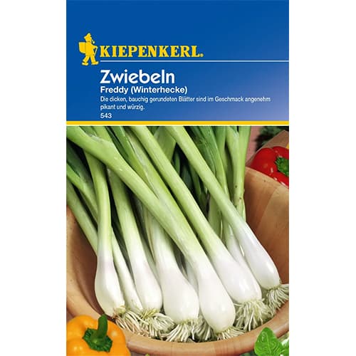 Luk Winterhecke slika 1 interface.art 77460