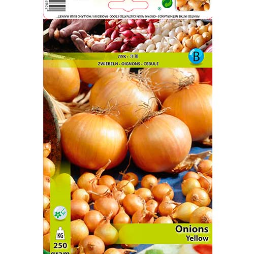 Žuti luk slika 1 interface.art 70496