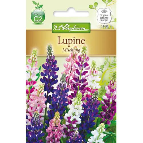 Lupin, mix multicolor interface.art interface.photo 1 Lupin, mix multicolor slika 1 interface.art 78921