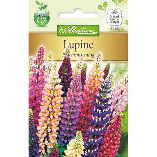 Lupin s velikim cvjetovima, mix multicolor slika 1 interface.art 78975