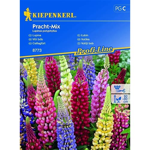 Lupin Splendid, višebojna mješavina slika 1 interface.art 86292