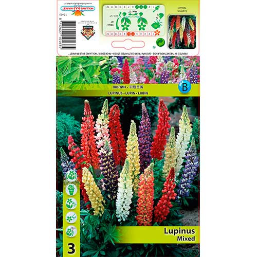 Lupine mix multicolor slika 1 interface.art 76325