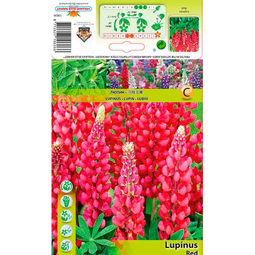 Lupine Red slika 1 interface.art 76327