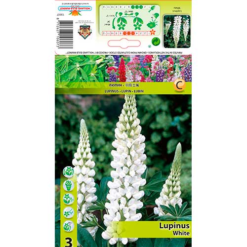 Lupine White slika 1 interface.art 76328