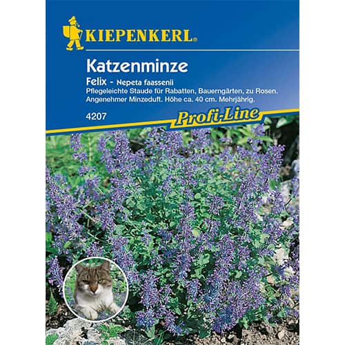 Mačja trava Felix slika 1 interface.art 96548