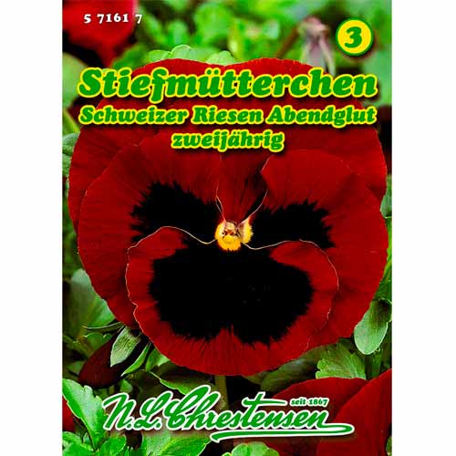 Maćuhice Abendglut slika 1 interface.art 50037