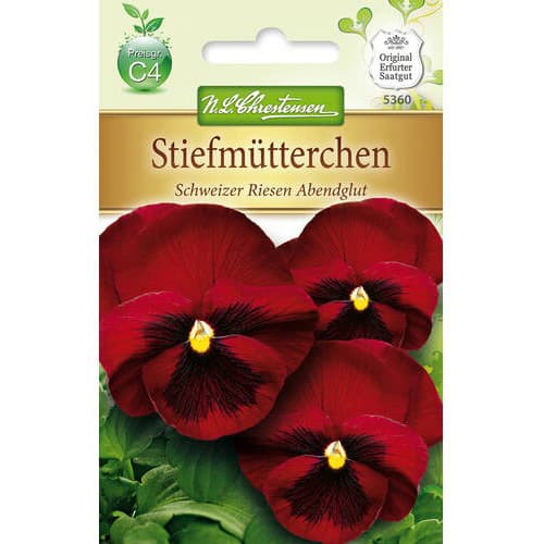 Maćuhice, Swiss Giant Evening glow slika 1 interface.art 78965