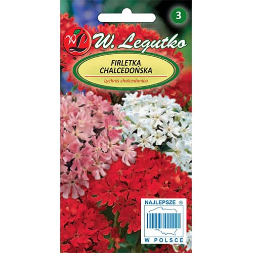 Malteški križ crveni slika 1 interface.art 87859