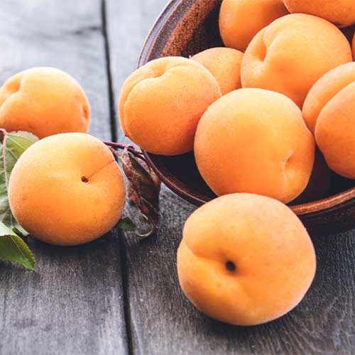 Marelica Anubis slika 1 interface.art 4856