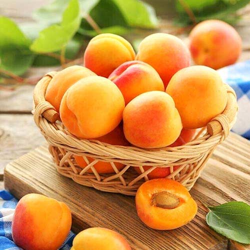 Marelica Diamond, С2 slika 1 interface.art 4277