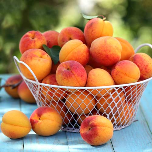 Marelica Perla, С2 slika 1 interface.art 7953