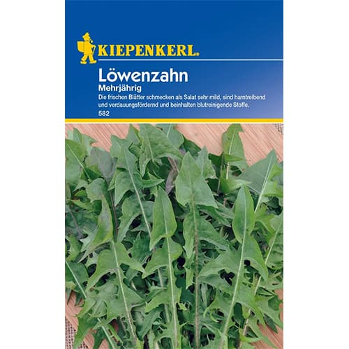 Maslačak višegodišnji slika 1 interface.art 77491