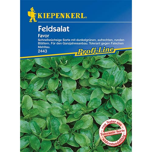 Matovilac Favor slika 1 interface.art 86449