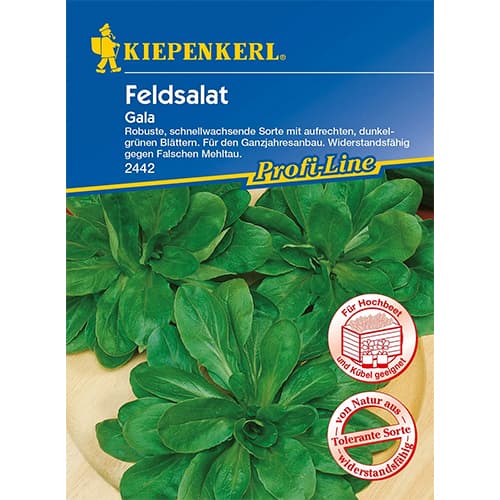 Matovilac Gala slika 1 interface.art 86450