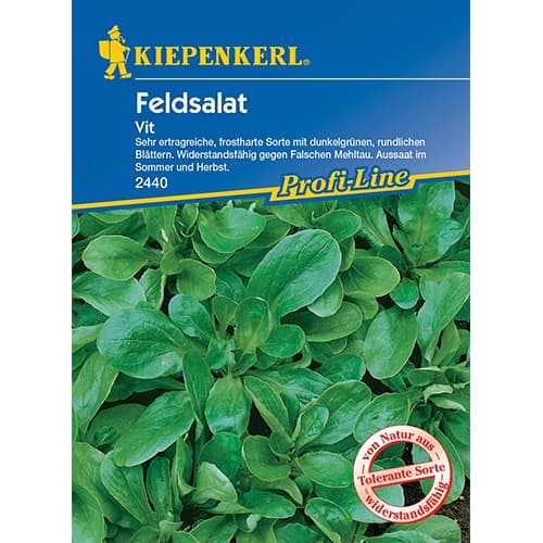 Matovilac Vit slika 1 interface.art 77495