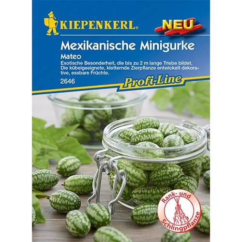 Meksički krastavci Mateo slika 1 interface.art 96634