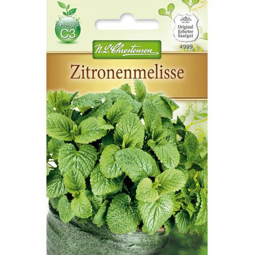 Melisa Chrestensen slika 1 interface.art 78874