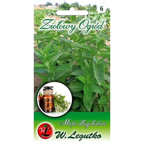 Metvica Legutko slika 1 interface.art 78707