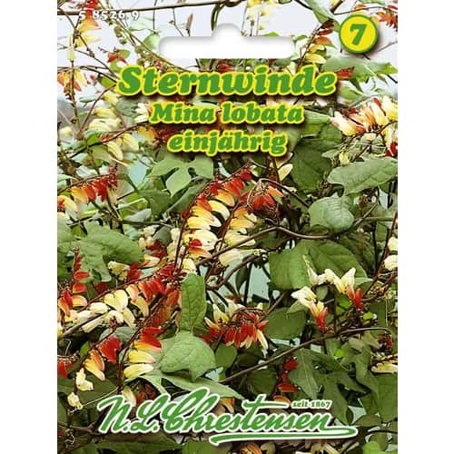 Mina lobata slika 1 interface.art 96440