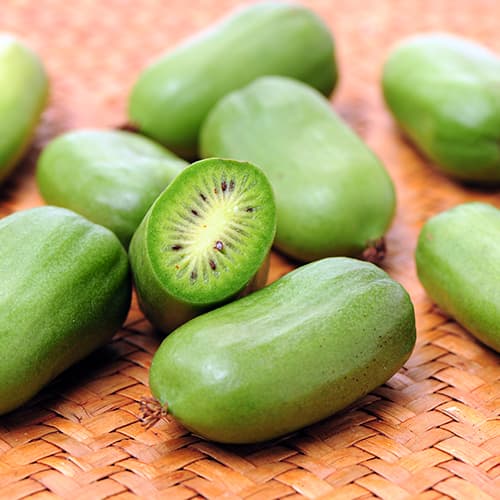 Mini kivi Issaj, P9 slika 1 interface.art 9238