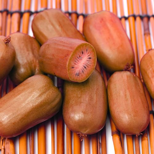 Mini kivi Ken’s Red, P9 slika 1 interface.art 9240