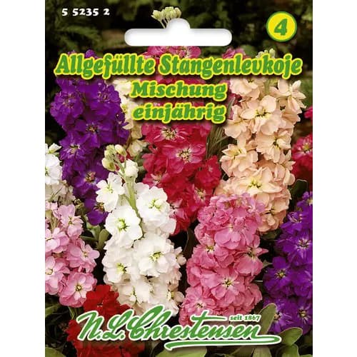 Mixandre gigant,, mix multicolor interface.art interface.photo 1 Mixandre gigant,, mix multicolor slika 1 interface.art 96437