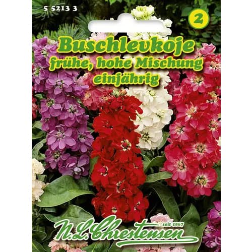 Mixandre s velikim cvjetovima, mix multicolor slika 1 interface.art 96438