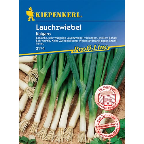 Mladi luk Kaigaro slika 1 interface.art 87283