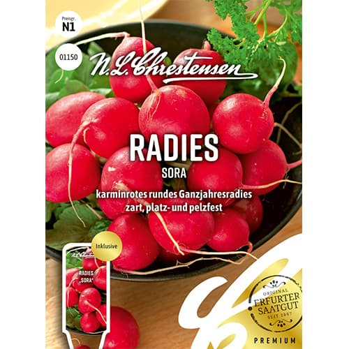 Mrkva Rotin, sjeme na traci slika 1 interface.art 78736