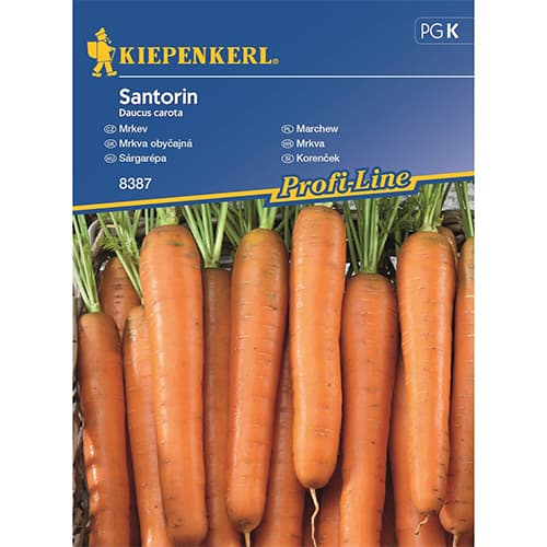 Mrkva Santorini F1 slika 1 interface.art 87789