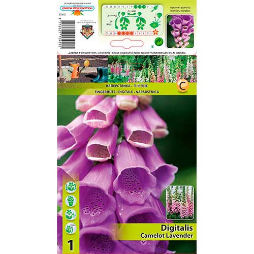 Naprstak Camelot Lavender slika 1 interface.art 76225