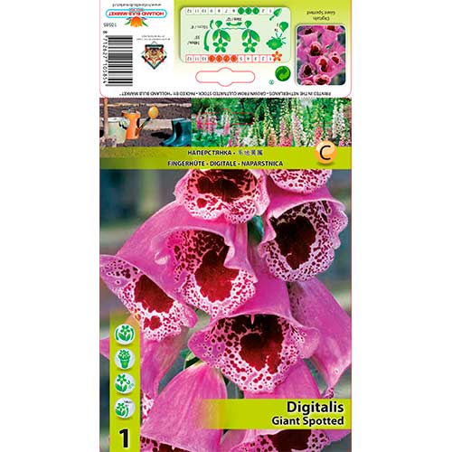 Naprstak Giant Spotted slika 1 interface.art 70384