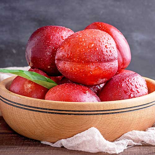 Nektarina Aeris, С2 interface.art interface.photo 1 Nektarina Aeris, С2 slika 1 interface.art 6935