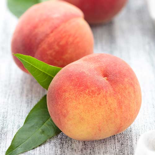 Nektarina Caramela interface.art interface.photo 1 Nektarina Caramela slika 1 interface.art 6937