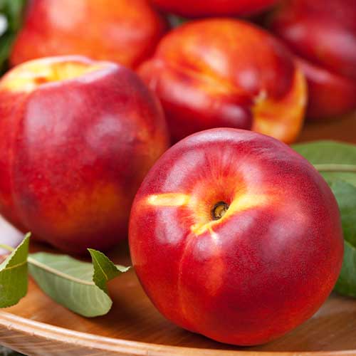 Nektarina Madego, С2 slika 1 interface.art 7980