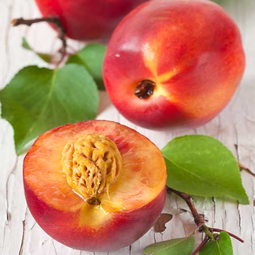 Nektarina Rafale slika 1 interface.art 4286