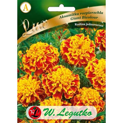 Neven Giant Bicolor slika 1 interface.art 78650