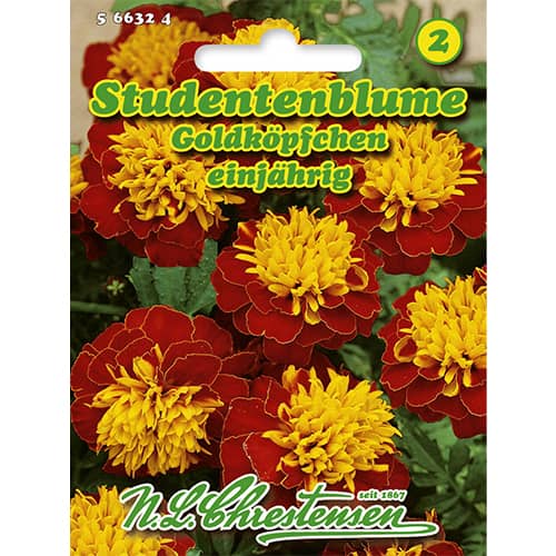 Neven Gold Heads slika 1 interface.art 86207